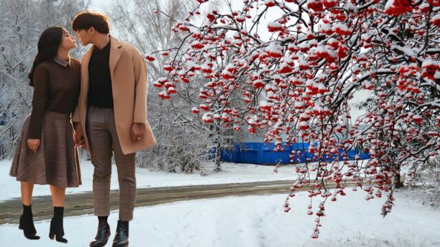 ЗИМНЕЕ НАСТРОЕНИЕ! Самые красивые, самые волшебные зимние мелодии! Снег! Красивая мелодия до слёз