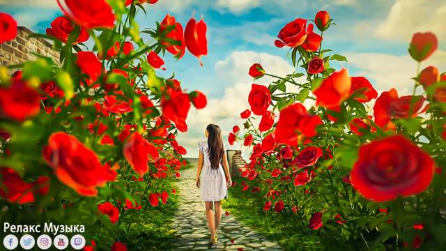 Самая красивая мелодия на свете! Эту музыку можно слушать вечно! Красивая музыка Сергей Грищук