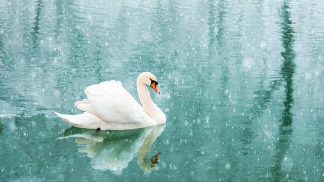 Божественная музыка способна трогать сердца! Прекрасная красивая музыка для души и умиротворения!