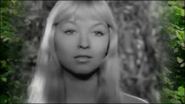 Александр Резанов   -   А ХОЧЕШЬ...