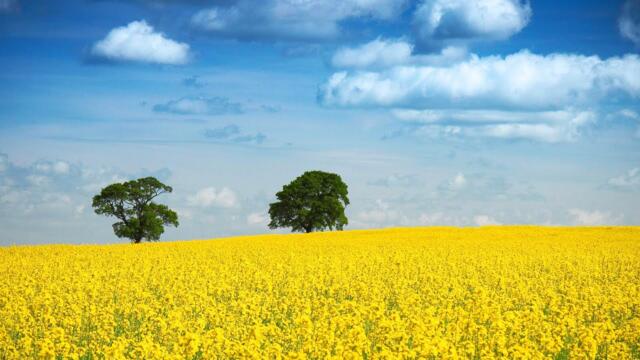 Лучшая музыка для Души. Расслабьтесь и и Отдыхайте с этой музыкой