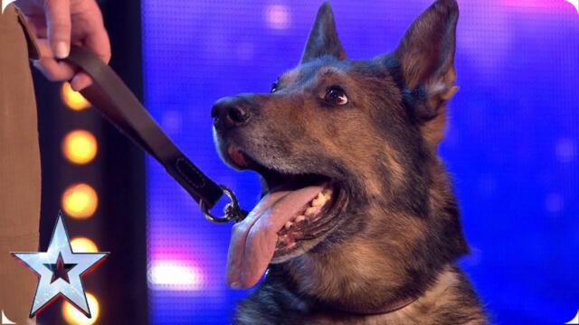 Heroic police dog Finn moves the Judges to tears | Auditions | BGT 2019