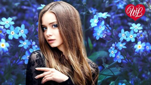 Сергей Одинцов   -   НЕЗАБУДКИ