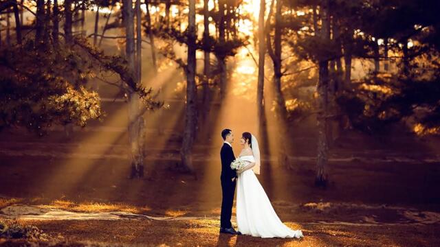 Самая красивая мелодия в мире!Песни просто супер для настроения! Самая красивая музыка для души!