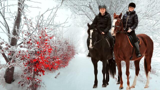 Красивая мелодия до слёз! Волшебные зимние мелодии! Чарующая зимняя музыка Сергея Чекалина