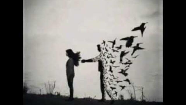 Сергей Егоров   -   ЛЮБОВЬ НЕ ГРЕХ