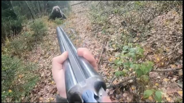 💥 Встреча с МЕДВЕДЕМ в лесу... ( bear attacks russian man )