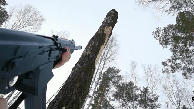 Cutting down a tree with an AK Saiga 12 shotgun - Easy?