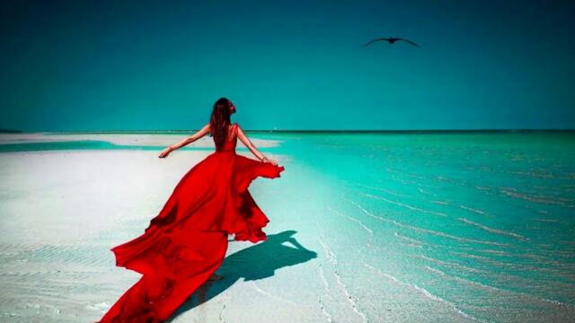 БЕЛАЯ ЛИЛИЯ - У БЕРЕГОВ МЕЧТЫ