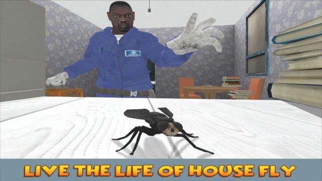 House Fly Insect Survival Simulator Insect Simulator