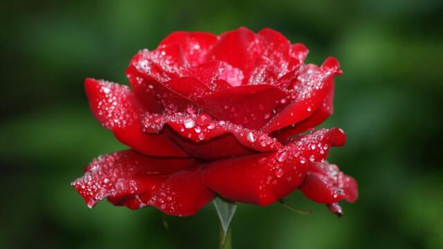 Музыка для релаксации ♫ Очень красивая музыка, трогающая душу и сердце! ♫ Музыка Сергея Грищука