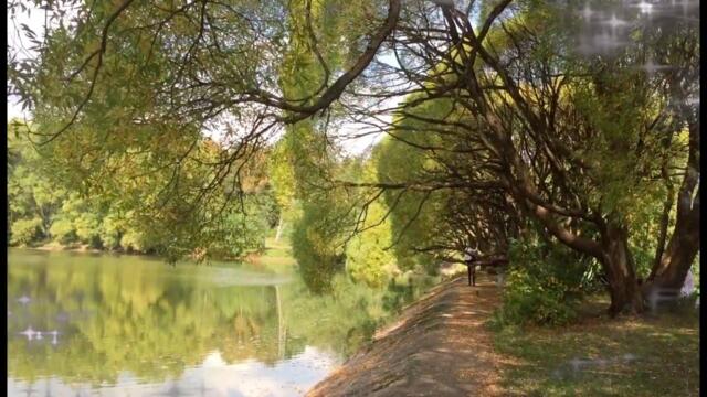 Осенние Пруды под Загадочно Красивую Мелодию Эдгара Туниянца!