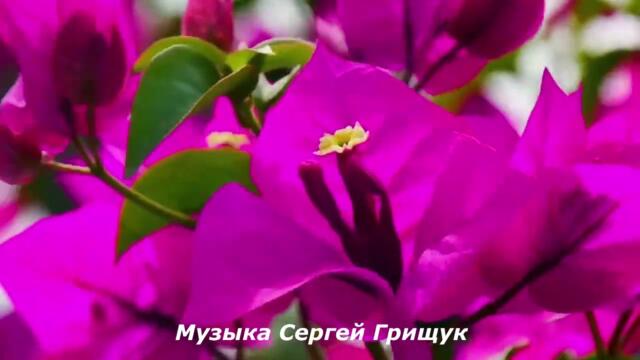 Музыка Для Души,, ДВА КРЫЛА  ,,Музыка Сергей Грищук