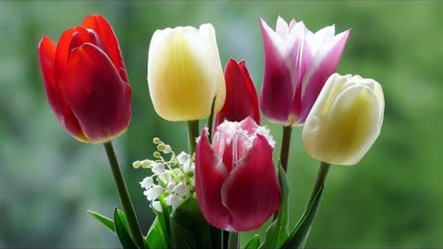 * С Первым Днём Весны! Saxophone💟!!!  Создают Прекрасное Настроение