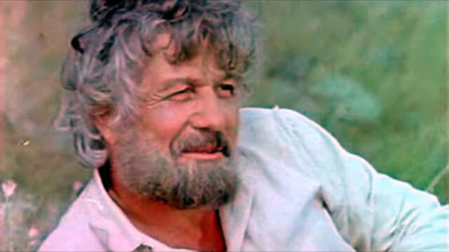 Тополиная пурга...  Песня тронет душу .... Вспомним актера Михай Волонтира.