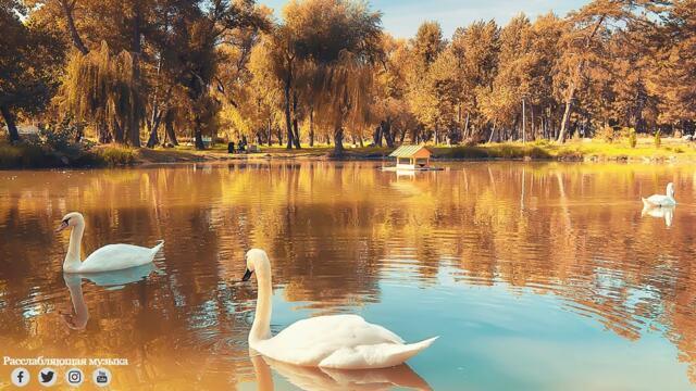 Красивая Мелодия До Слез! Эту музыку можно слушать вечно! Отличная музыка Сергей Грищук! Музыка 2023