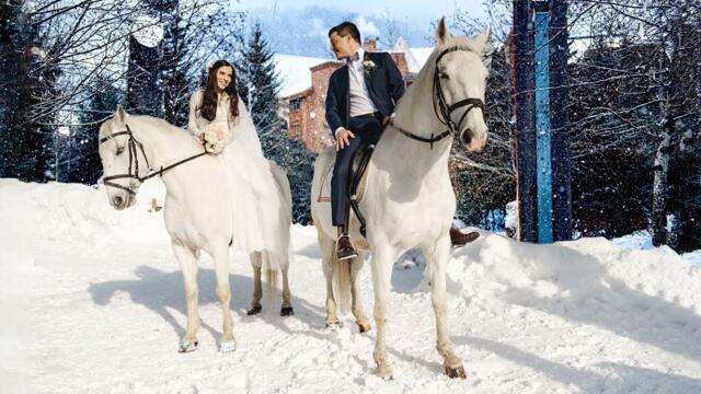 До слез красивая мелодия! Падал снег! Это красивые зимние мелодии, трогающие сердце Сергея Чекалина