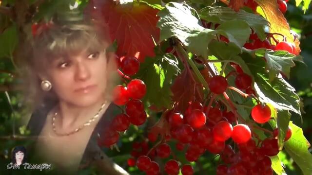 Валерий Залкин   -   А над рекой стоит калина