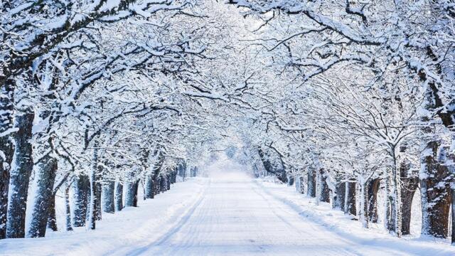 Красивая мелодия до слёз! Одна из самых красивых, волшебных зимних мелодий