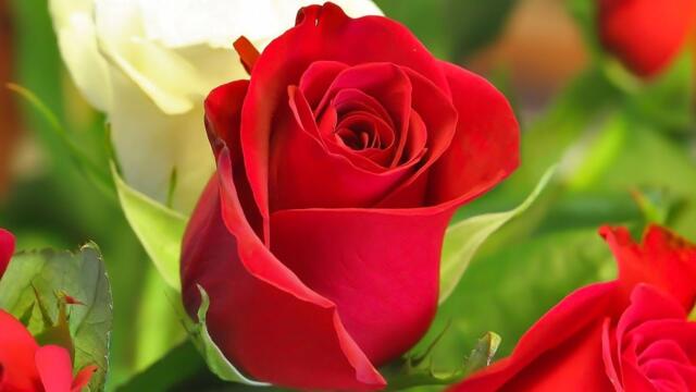 Расслабляющая музыка для души!Очень красивая музыка, трогающая душу и сердце!Mузыка Сергей Грищук