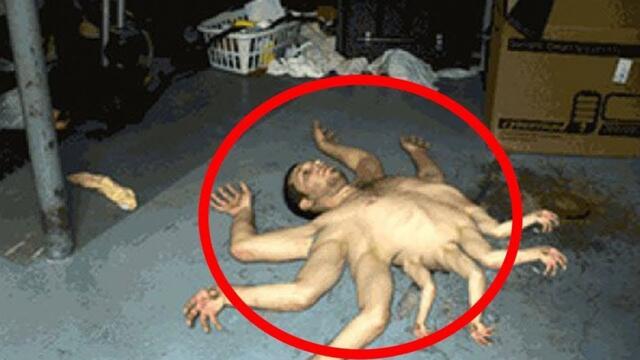 Mysterious Creatures Caught On Camera In Chernobyl