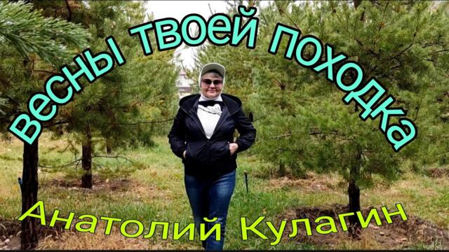 Анатолий Кулагин  -  ВЕСНЫ ТВОЕЙ ПОХОДКА