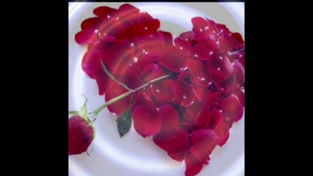 Евгений Путилов    -    Бархат алых роз