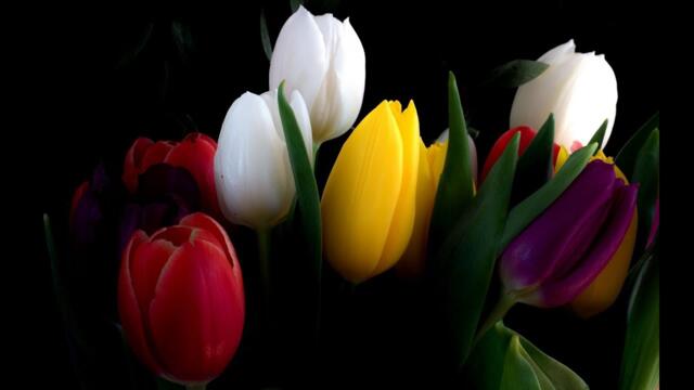 Хорошо Быть Женьщиной !