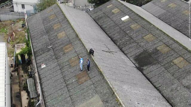 Drug dealers jailed after being discovered hiding from police - on roof of cannabis factory