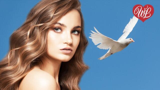 Константин Арсенев   -   СПАСИБО ЧТО ТЫ ЕСТЬ