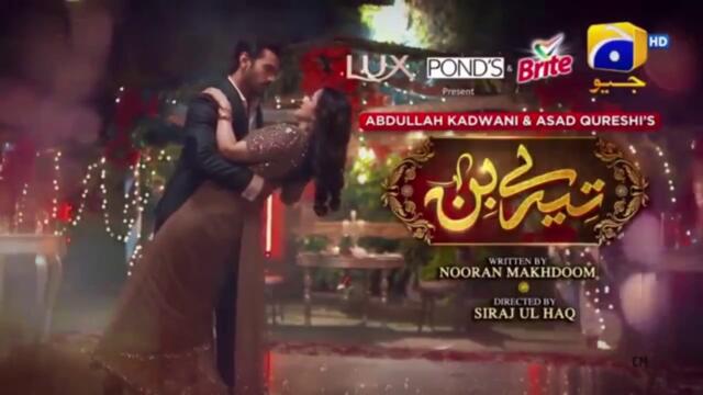 Tere Bin Episode 22 - HAR PAL GEO