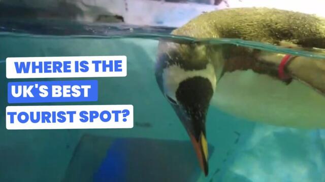 Where is the ultimate UK top tourist spot? | Bragging Rights (S2, E3)