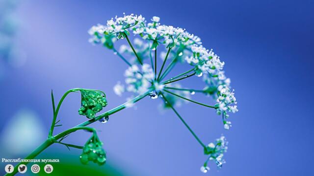 А дождь всё льёт!... Очень КРАСИВАЯ МУЗЫКА под настроение дождя! Эту музыку можно слушать вечно