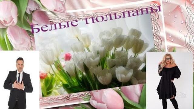 Белые тюльпаны