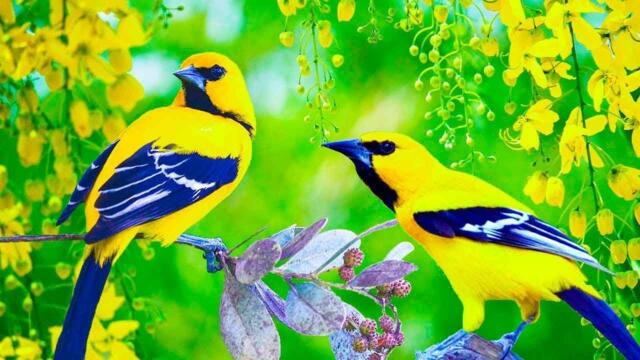 Самая красивая музыка! От души к душе! красивая музыка Сергей Грищук