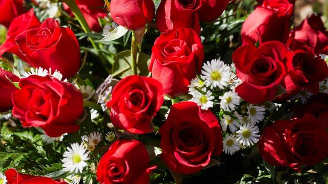 Эту музыку можно слушать вечно🌺Божественная музыка трогает душу🌺Красивые осенние мелодии