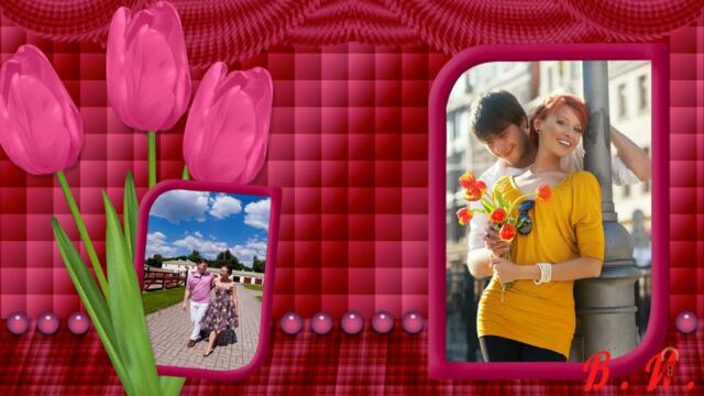 Красные Тюльпаны