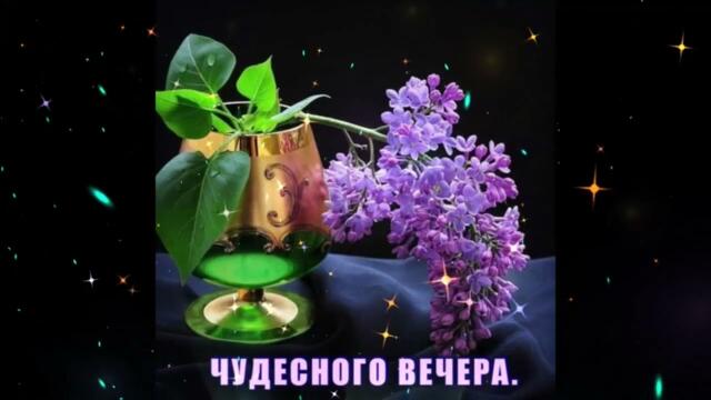 Добрый  вечер!   Нонна - Сон  Безмятежный