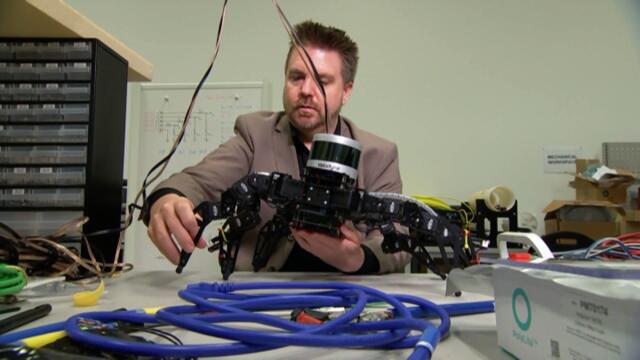 Researchers build robots based on insect biology