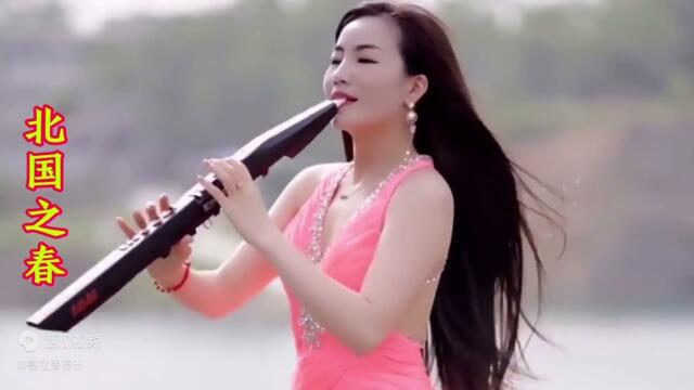 一曲《北国之春》，旋律优美, A song "Spring in the North", beautiful melody, soothing sound