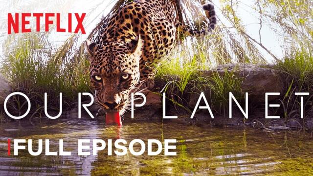 Нашата планета - От пустини до пасища |Netflix|