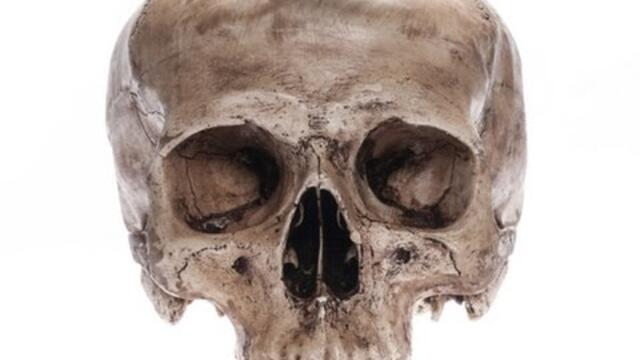 Учени са открили нови човекоподобни видове - Новините на Нова (11.09.2015г.)