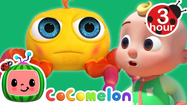 Itsy Bitsy Spider + More Cocomelon - Nursery Rhymes | Fun Cartoons For Kids | Moonbug Kids