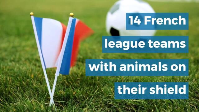 14 French league teams with animals on their shield