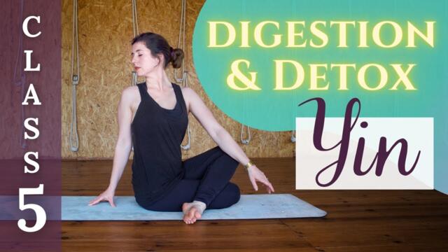 70-min Full Yin Class | Yoga for Digestion & Detox with Deep Stretches (Yin Yoga Challenge Class 5)