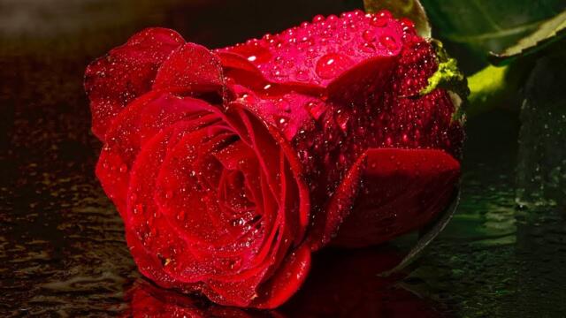 Очень нежная, красивая расслабляющая мелодия Под Дождем для снятия усталости