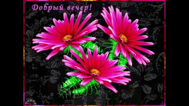 Добрый  вечер!  Тутси  -  Падали  Звезды