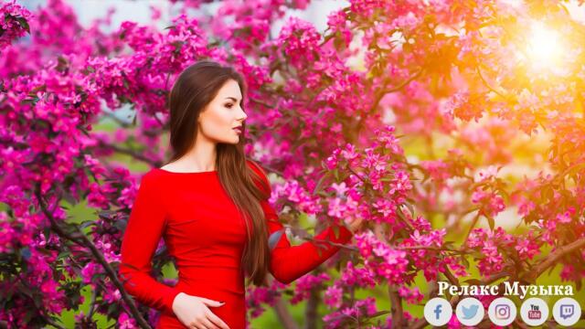 Красивая мелодия до слёз! Одна из самых красивых, волшебных весенних мелодий