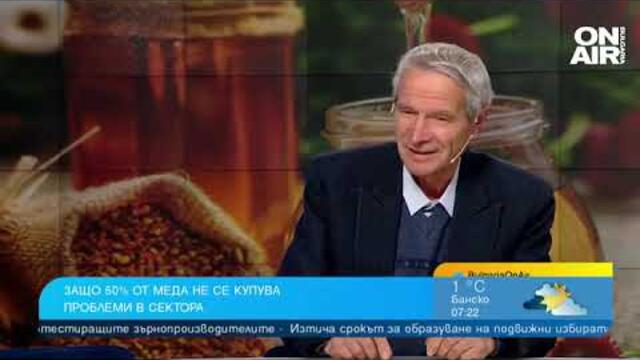 Пчелите ни намаляват катастрофално, внасяме евтин мед от Южна Америка