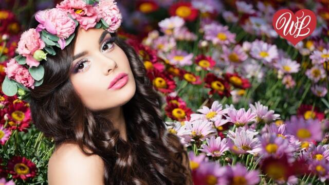 Александр Малинин   -   ЗАБАВА